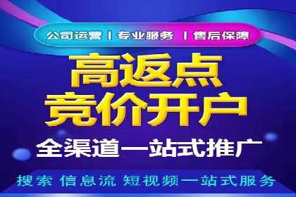 电商平台的SEM关键词优化与推广案例